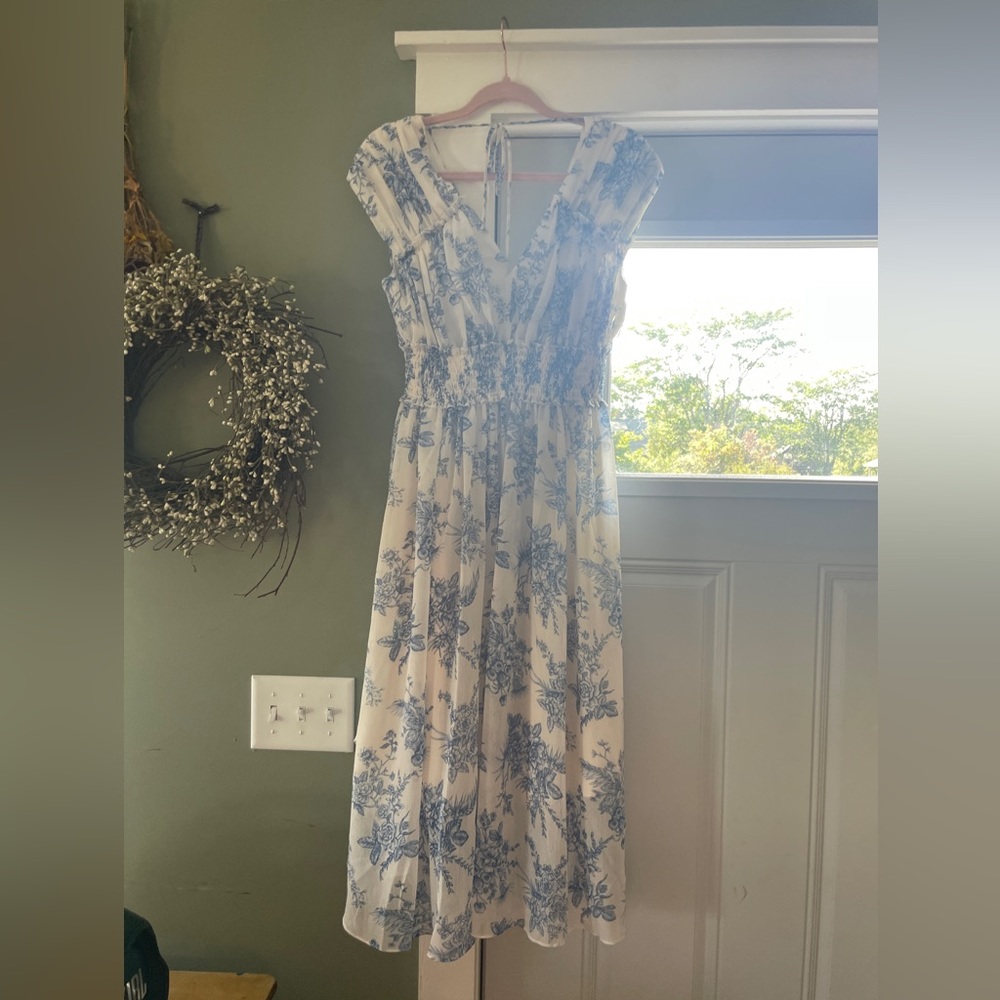 BCBG maxarzria Beautiful white and blue maxi